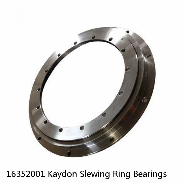 16352001 Kaydon Slewing Ring Bearings