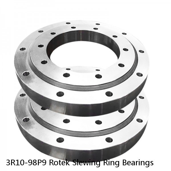 3R10-98P9 Rotek Slewing Ring Bearings