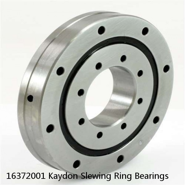 16372001 Kaydon Slewing Ring Bearings