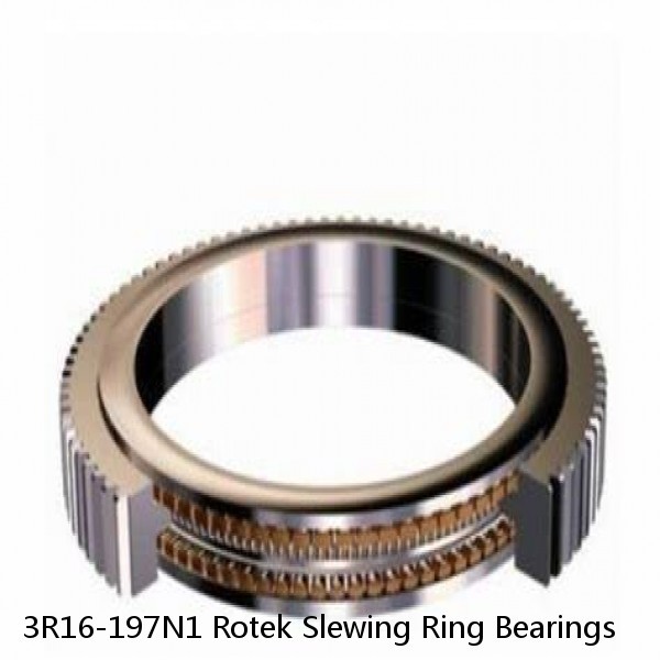 3R16-197N1 Rotek Slewing Ring Bearings