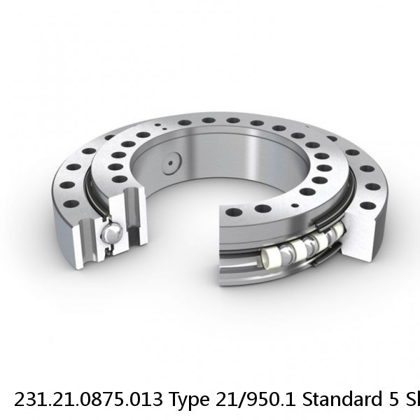 231.21.0875.013 Type 21/950.1 Standard 5 Slewing Ring Bearings