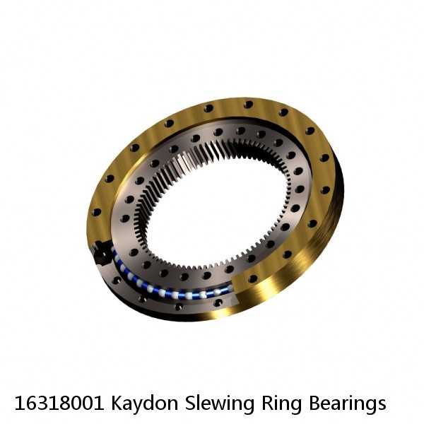 16318001 Kaydon Slewing Ring Bearings