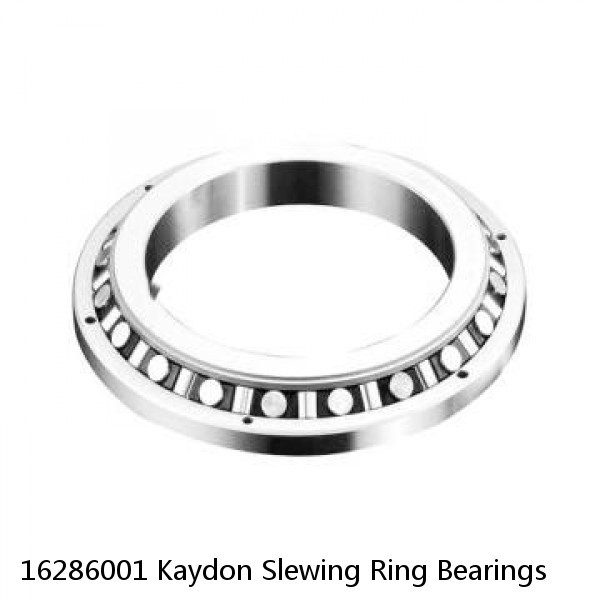 16286001 Kaydon Slewing Ring Bearings