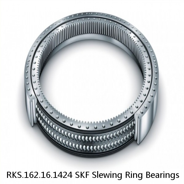 RKS.162.16.1424 SKF Slewing Ring Bearings