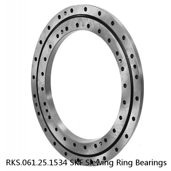 RKS.061.25.1534 SKF Slewing Ring Bearings