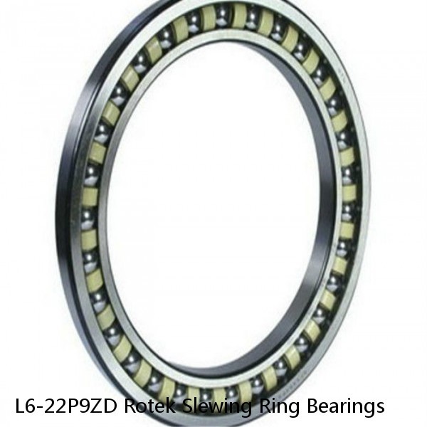 L6-22P9ZD Rotek Slewing Ring Bearings