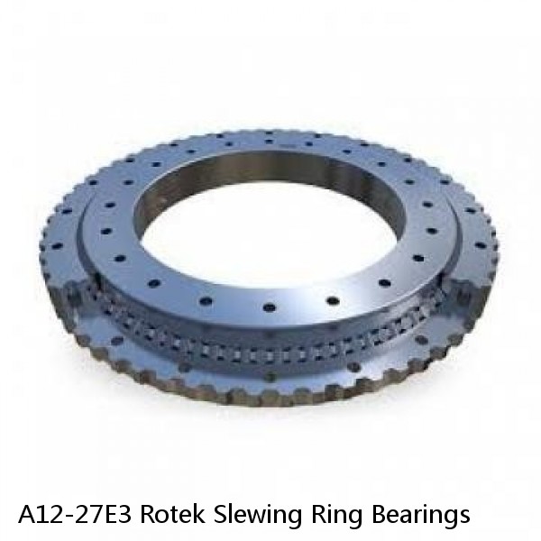 A12-27E3 Rotek Slewing Ring Bearings