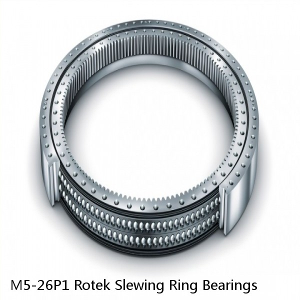 M5-26P1 Rotek Slewing Ring Bearings