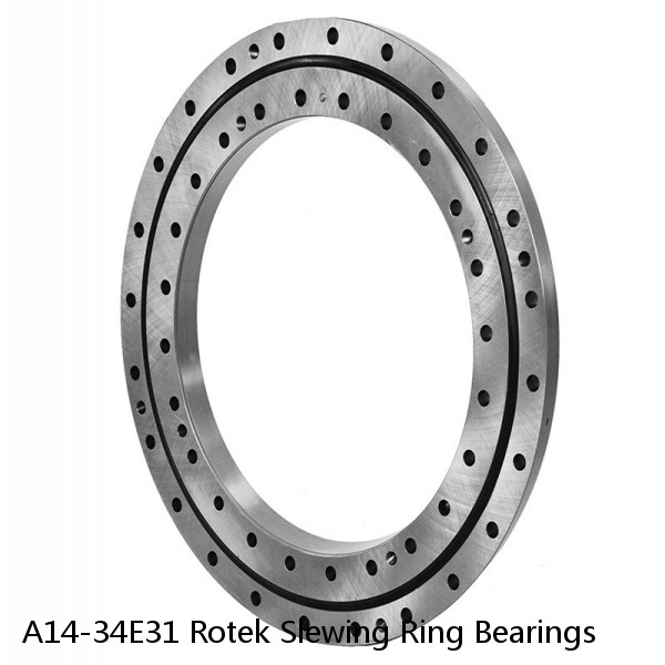 A14-34E31 Rotek Slewing Ring Bearings