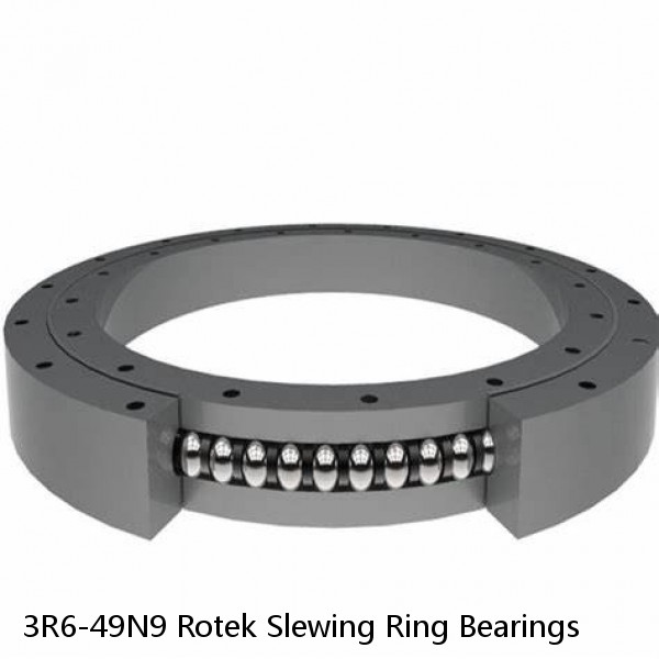 3R6-49N9 Rotek Slewing Ring Bearings