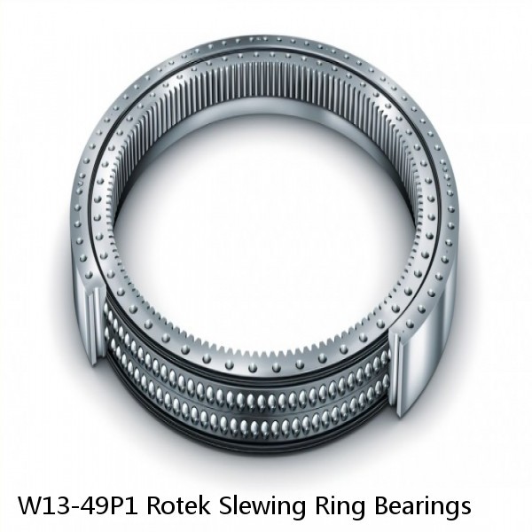 W13-49P1 Rotek Slewing Ring Bearings