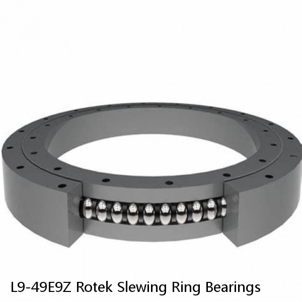 L9-49E9Z Rotek Slewing Ring Bearings