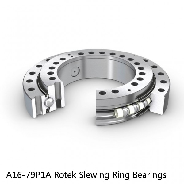 A16-79P1A Rotek Slewing Ring Bearings