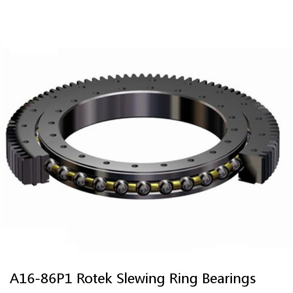 A16-86P1 Rotek Slewing Ring Bearings