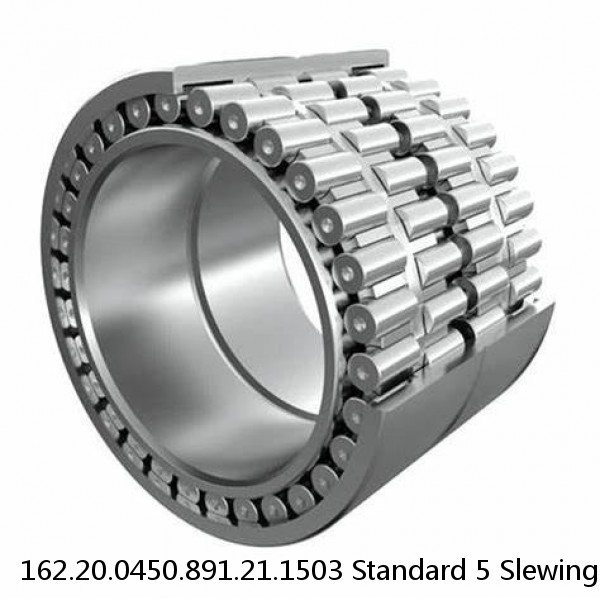 162.20.0450.891.21.1503 Standard 5 Slewing Ring Bearings