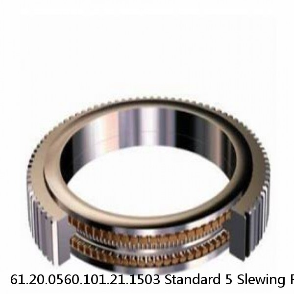 61.20.0560.101.21.1503 Standard 5 Slewing Ring Bearings