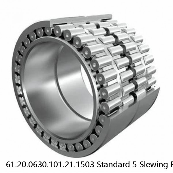 61.20.0630.101.21.1503 Standard 5 Slewing Ring Bearings