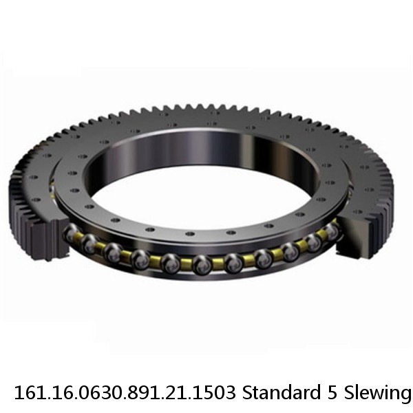 161.16.0630.891.21.1503 Standard 5 Slewing Ring Bearings