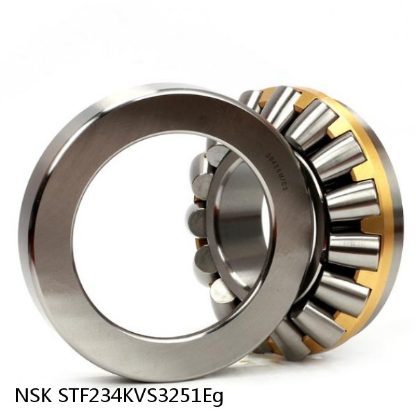 STF234KVS3251Eg NSK Four-Row Tapered Roller Bearing