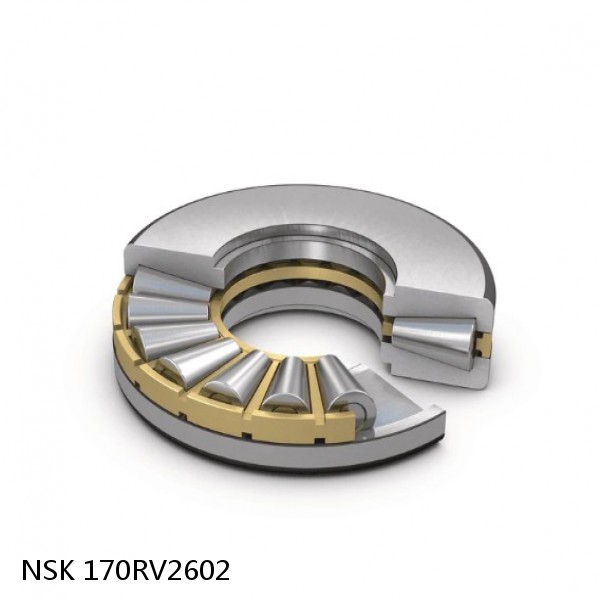 170RV2602 NSK Four-Row Cylindrical Roller Bearing