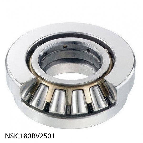 180RV2501 NSK Four-Row Cylindrical Roller Bearing