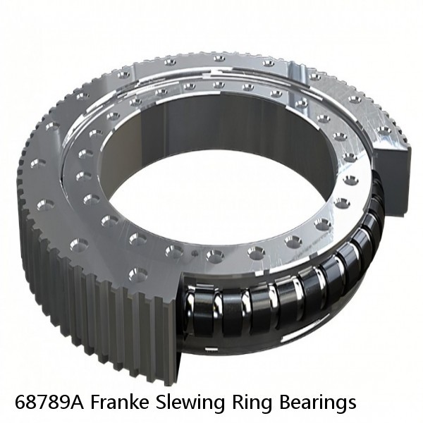 68789A Franke Slewing Ring Bearings