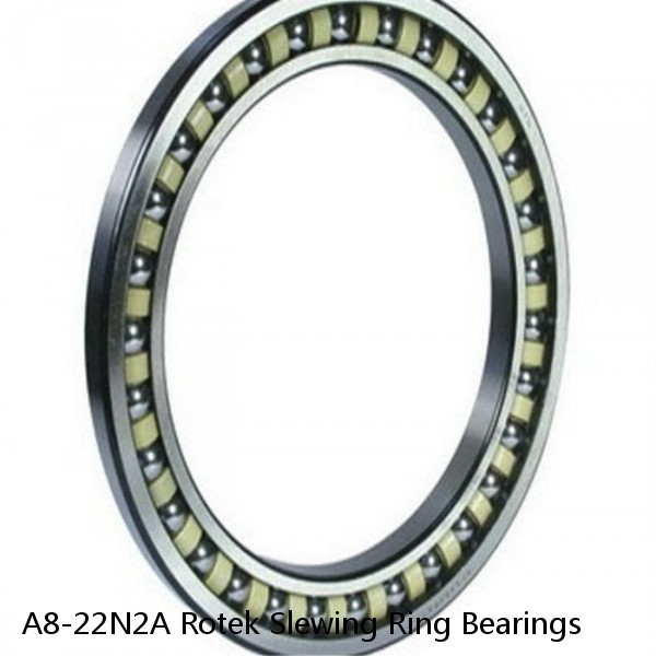 A8-22N2A Rotek Slewing Ring Bearings