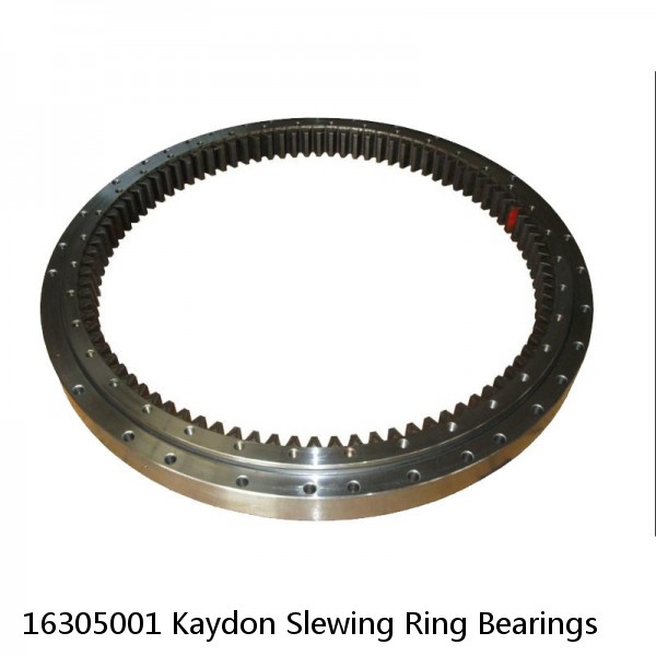 16305001 Kaydon Slewing Ring Bearings