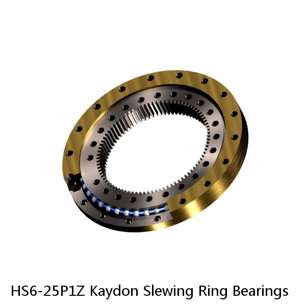 HS6-25P1Z Kaydon Slewing Ring Bearings