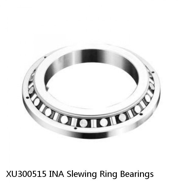 XU300515 INA Slewing Ring Bearings