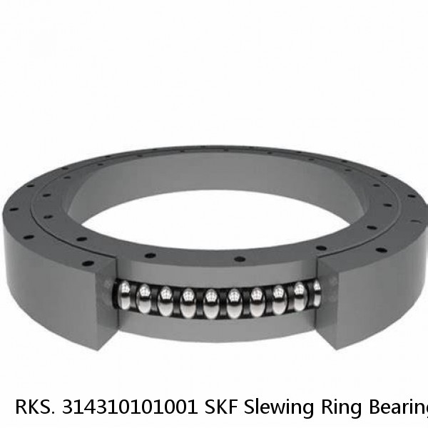 RKS. 314310101001 SKF Slewing Ring Bearings