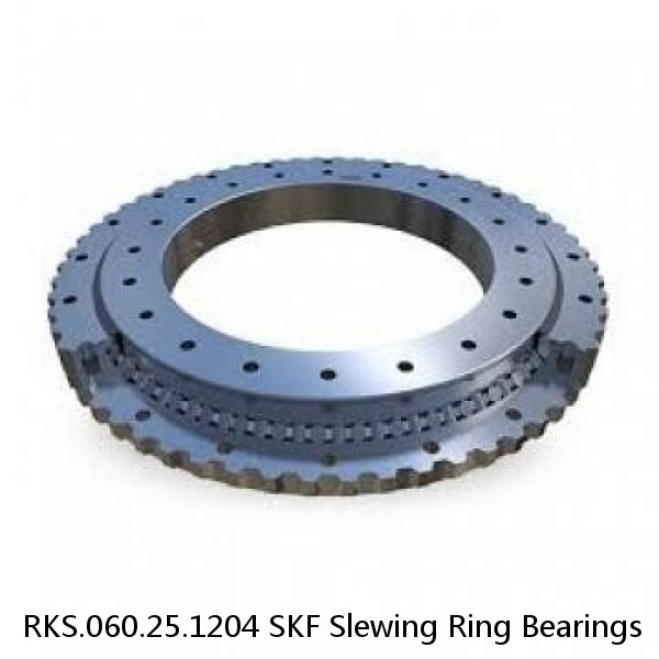 RKS.060.25.1204 SKF Slewing Ring Bearings