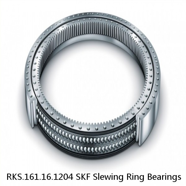 RKS.161.16.1204 SKF Slewing Ring Bearings