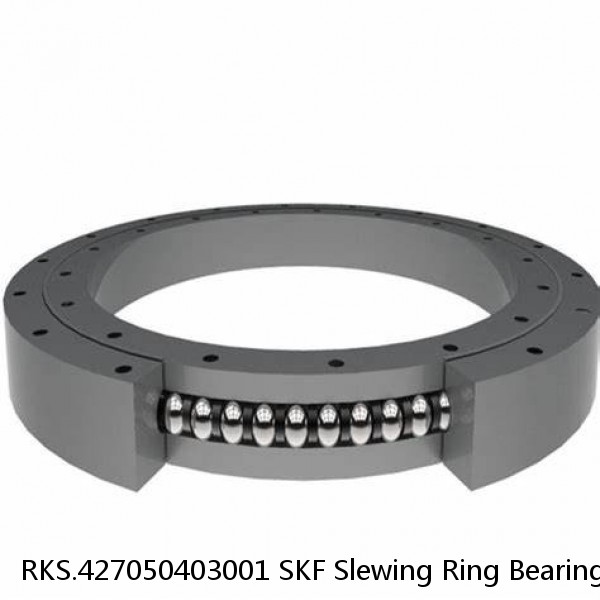 RKS.427050403001 SKF Slewing Ring Bearings