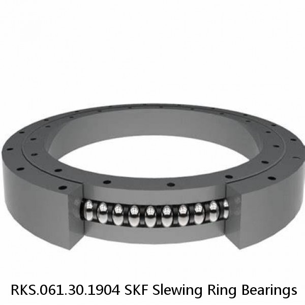 RKS.061.30.1904 SKF Slewing Ring Bearings