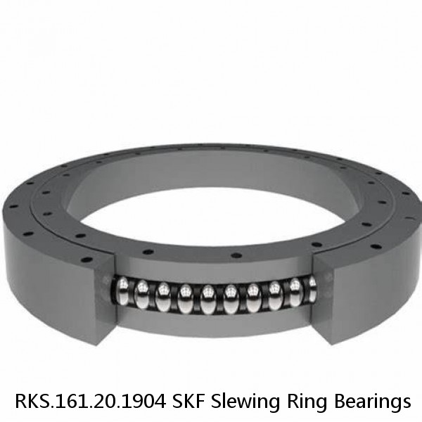 RKS.161.20.1904 SKF Slewing Ring Bearings