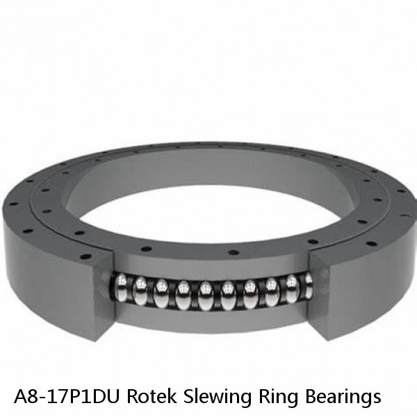 A8-17P1DU Rotek Slewing Ring Bearings