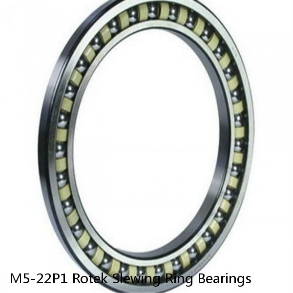 M5-22P1 Rotek Slewing Ring Bearings