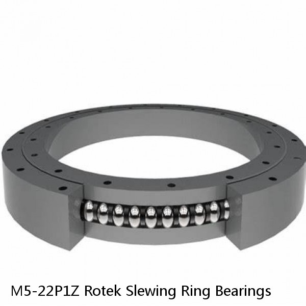 M5-22P1Z Rotek Slewing Ring Bearings