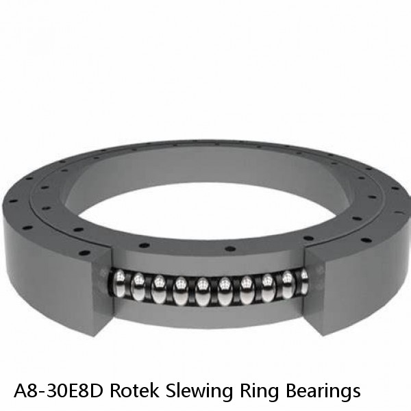 A8-30E8D Rotek Slewing Ring Bearings