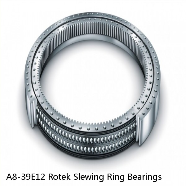 A8-39E12 Rotek Slewing Ring Bearings