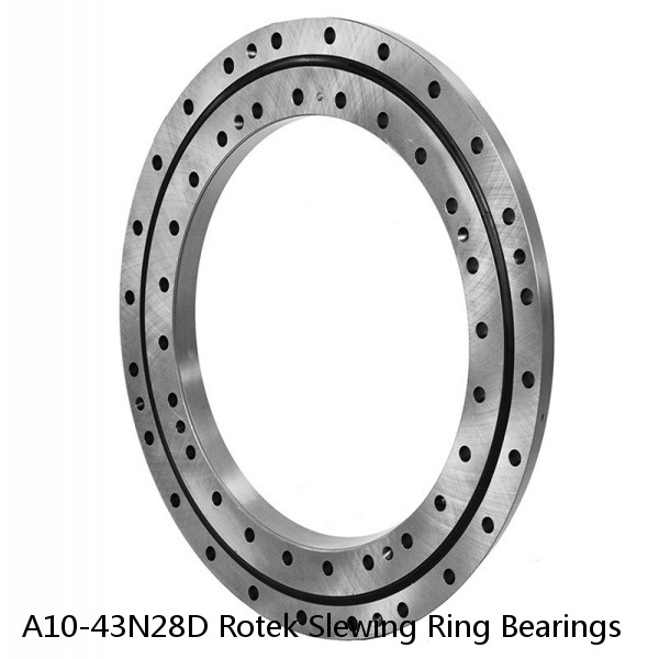 A10-43N28D Rotek Slewing Ring Bearings