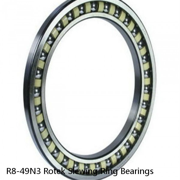 R8-49N3 Rotek Slewing Ring Bearings