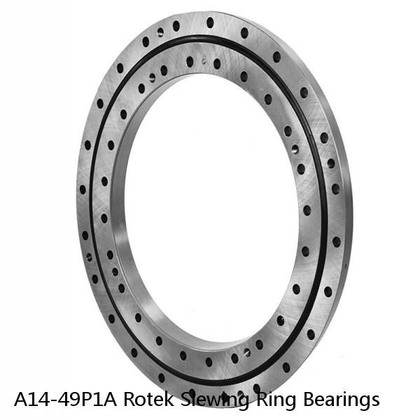 A14-49P1A Rotek Slewing Ring Bearings