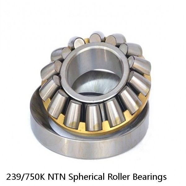 239/750K NTN Spherical Roller Bearings